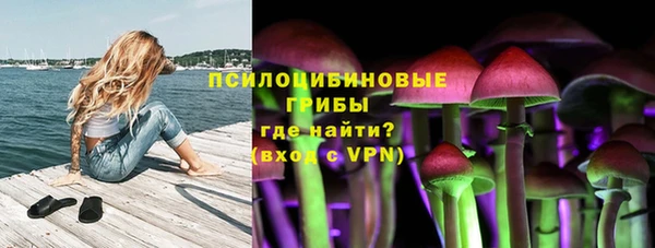 спиды Каменногорск