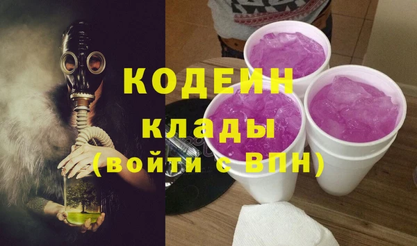 спиды Каменногорск
